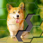 Jigsaw Puzzle - Hexa Block Puzzle-SocialPeta