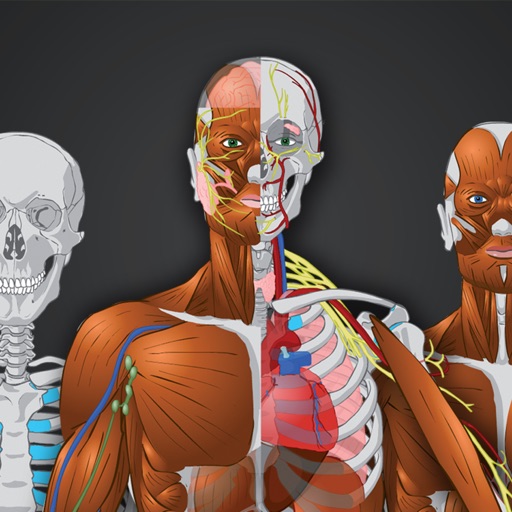Memorix Anatomy QUIZ-SocialPeta