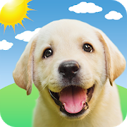 Weather Puppy - App & Widget Weather Forecast-SocialPeta
