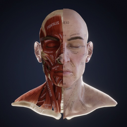 Lex: Human Head Anatomy-SocialPeta