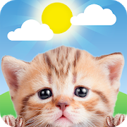 Weather Kitty - App & Widget Weather Forecast-SocialPeta