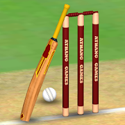Cricket World Domination - a cricket game for all-SocialPeta