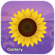 Gallery - Photo and Video Player-SocialPeta