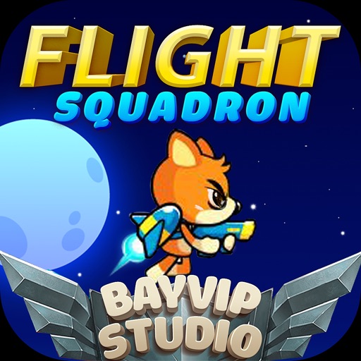 BayVip Flight Squadron-SocialPeta