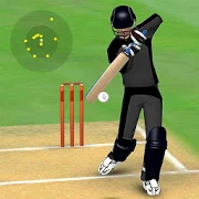 Smashing Cricket - a cricket game like none other-SocialPeta