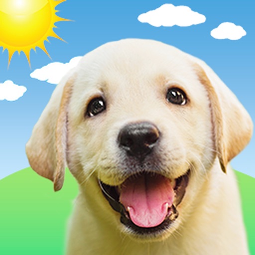 Weather Puppy Forecast + Radar-SocialPeta