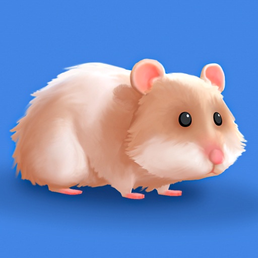 Hamster Maze-SocialPeta