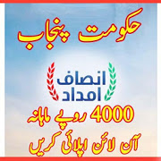 Insaf Imdad Complete Guide Online 2020-SocialPeta