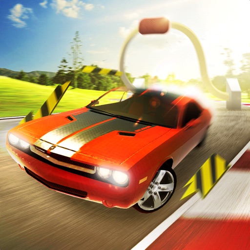 Slingshot Stunt Driver-SocialPeta