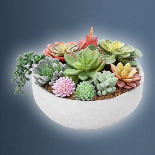 Idle Plant Pot 3D-SocialPeta