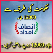 Insaf Imdad All Pakistani Apply Online Free Guide-SocialPeta