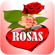 Rosas y flores de colores con frases bonitas-SocialPeta