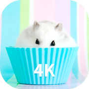 Hamster Wallpapers-SocialPeta
