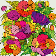 Wonder Color - Free Style Coloring Book for Adults-SocialPeta