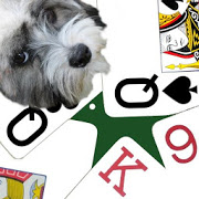 K9 Sheepshead: (Schafkopf) Trick-taking Card Game-SocialPeta