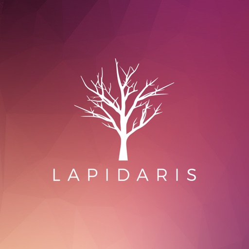 Lapidaris-SocialPeta