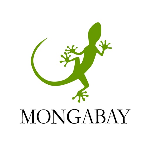 Mongabay Newscast-SocialPeta